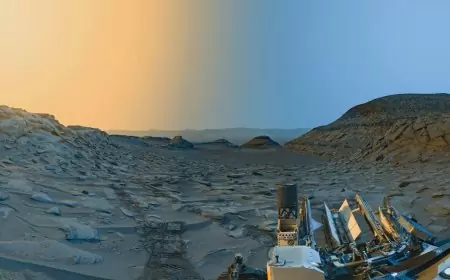 NASA rover "postcard" shows Mars during different times of the day