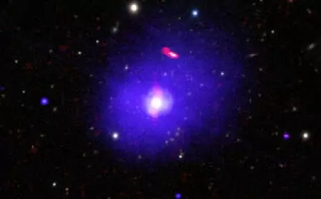 Chandra Shows Giant Black Hole Spins Slower Than Its Peers