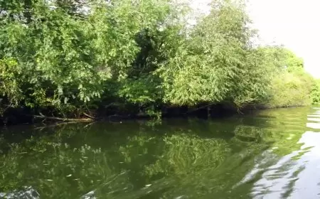 View of river from boat