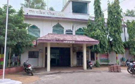 नर्मदापुरम में शासकीय कार्य में लापरवाही बरतने पर 4 नपाकर्मी निलंबित, सीएमओ ने की कार्यवाही