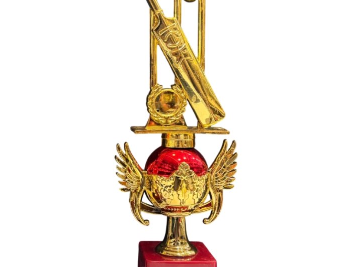 नर्मदापुरम में 16 दिसंबर से शुरू होगा पहला सर्वाधिक ईनामी डे-नाइट क्रिकेट टूर्नामेंट — फ्रेंड्स कप, पोस्टर लॉन्च होते ही शहर में बढ़ा उत्साह, खिलाड़ियों और खेल प्रेमियों में खुशी की लहर