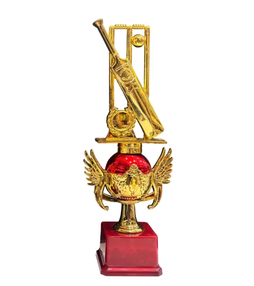 नर्मदापुरम में 16 दिसंबर से शुरू होगा पहला सर्वाधिक ईनामी डे-नाइट क्रिकेट टूर्नामेंट — फ्रेंड्स कप, पोस्टर लॉन्च होते ही शहर में बढ़ा उत्साह, खिलाड़ियों और खेल प्रेमियों में खुशी की लहर