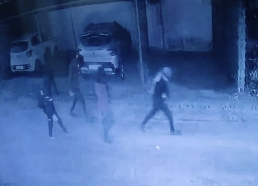 नर्मदापुरम में साईं दर्शन कॉलोनी में आधा दर्जन से ज्यादा चोरों ने बोला धावा, CCTV में कैद